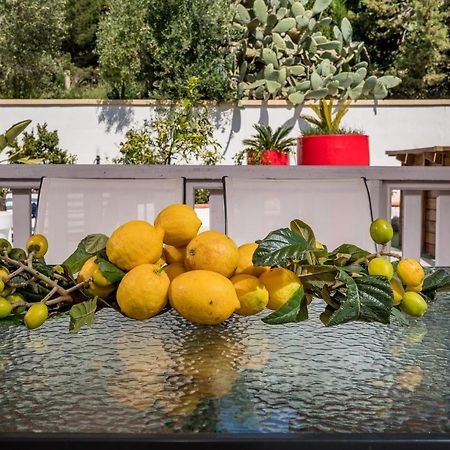 Villa Gagliardetta Castellammare del Golfo Exteriér fotografie
