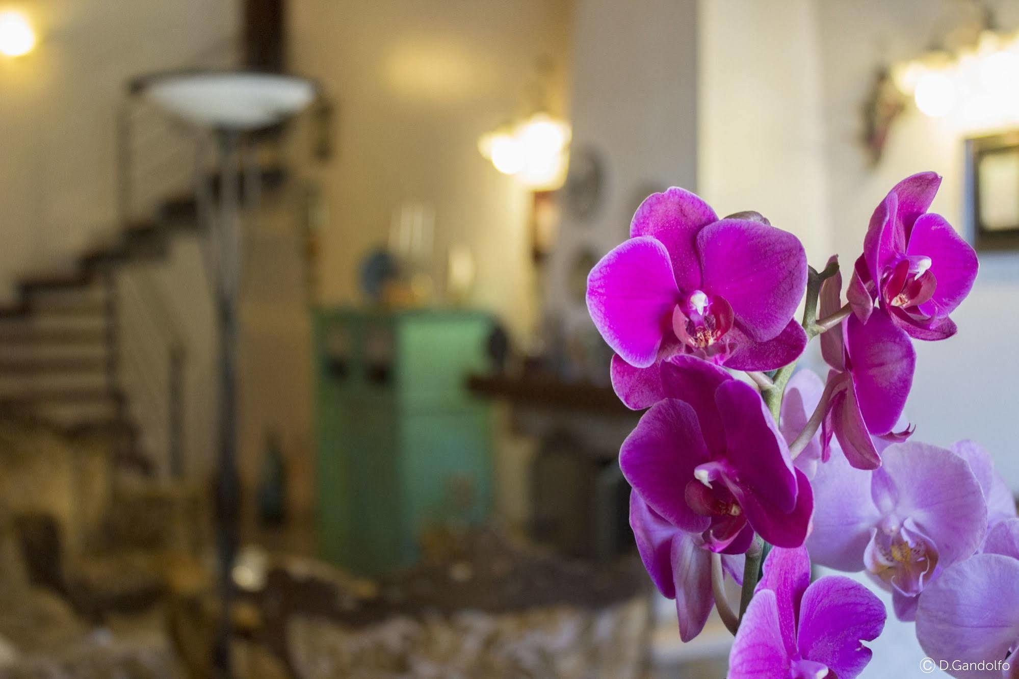 Villa Gagliardetta Castellammare del Golfo Exteriér fotografie